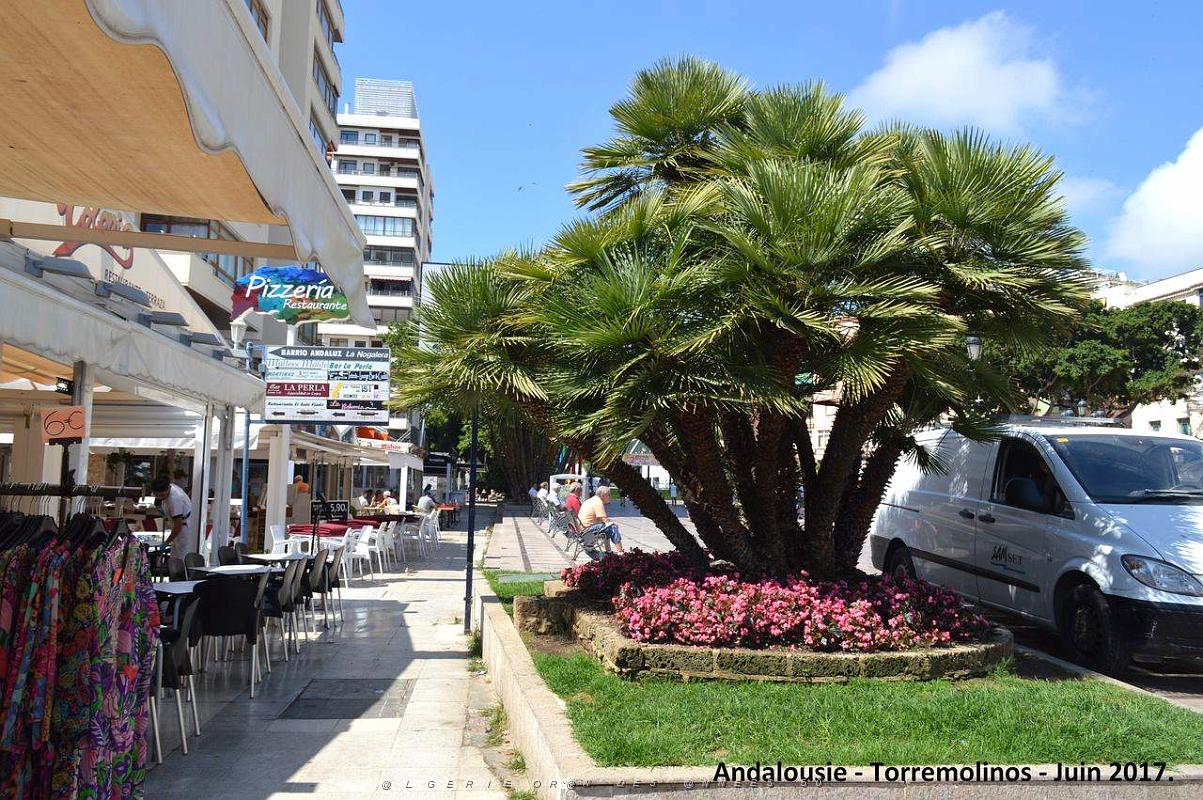 654- Torremolinos .JPG